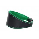  Ace Traditional Leather Dog Collar lined with super SOFT leather ::GREEN LINING::